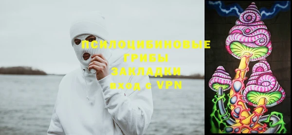 Альфа ПВП Алексин