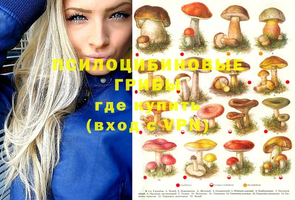 Альфа ПВП Алексин