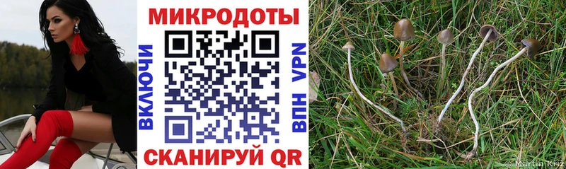 где купить наркоту  mega онион  Галлюциногенные грибы мицелий  Кашин 